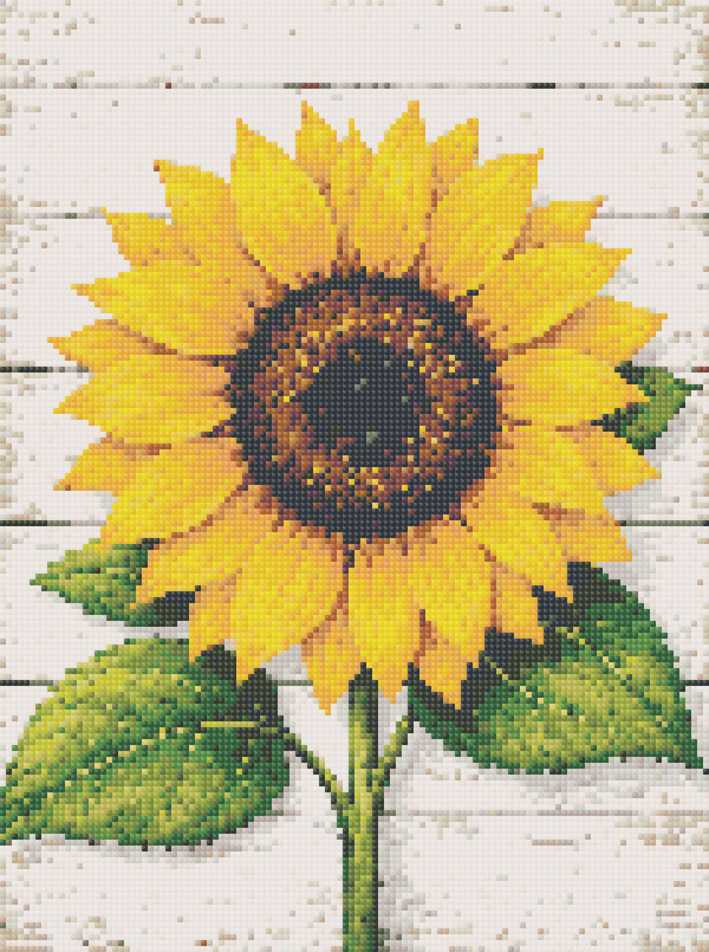 Sunflower Joy