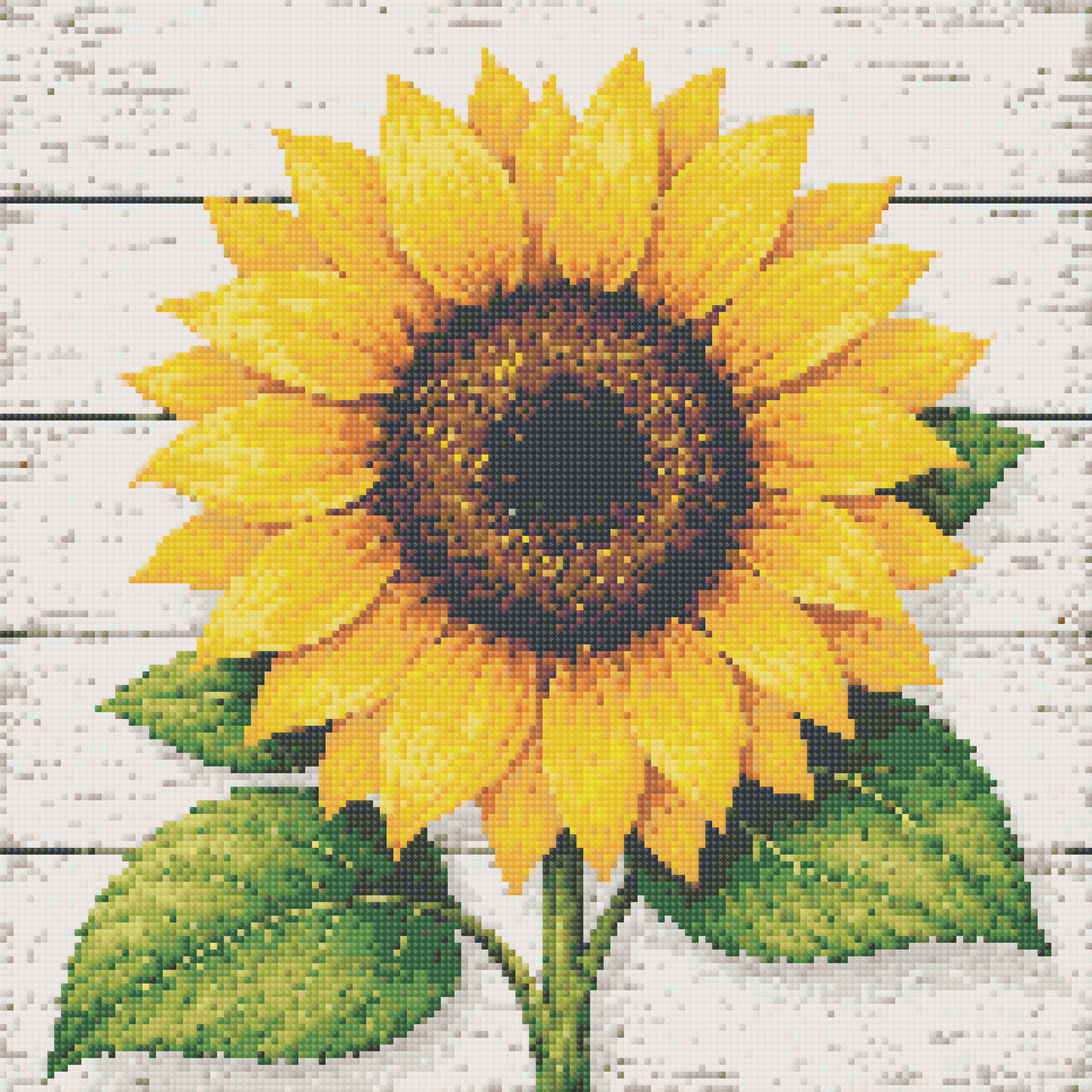 Sunflower Joy