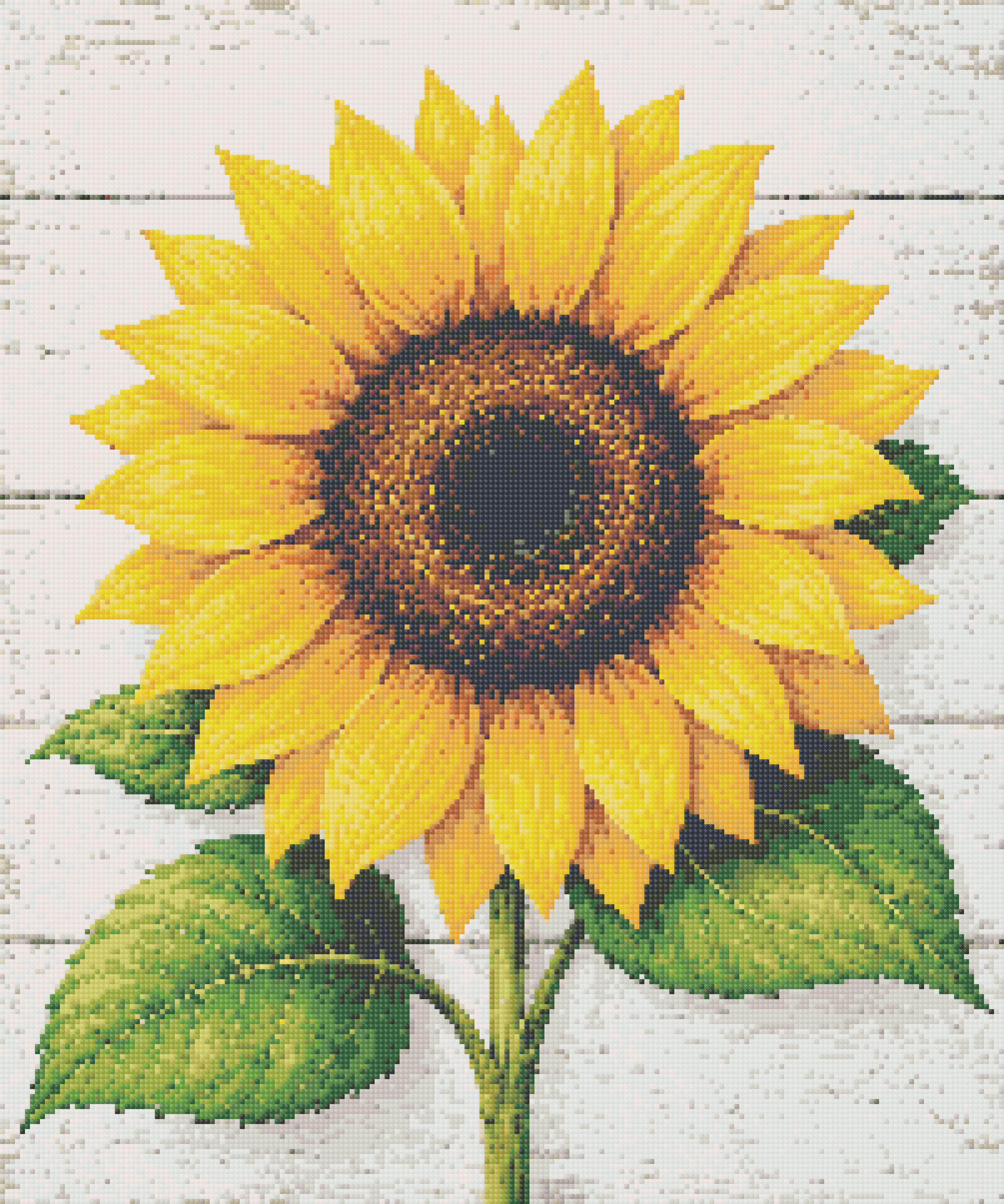 Sunflower Joy